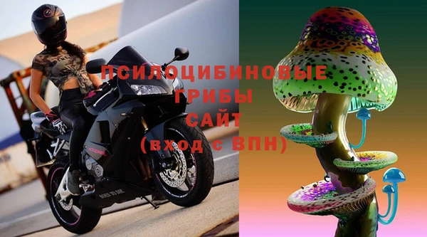 экстази Арсеньев
