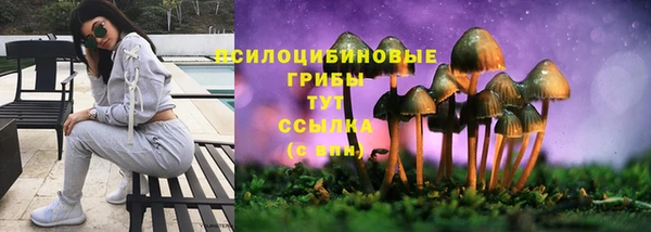 экстази Арсеньев