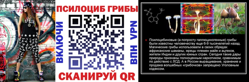 Галлюциногенные грибы прущие грибы Купить где Великие Луки